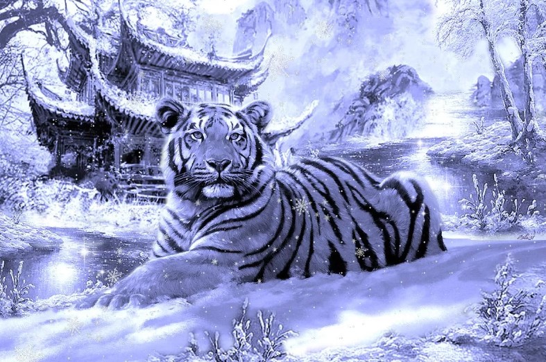 6_god_tigra_2022_poliservis.com