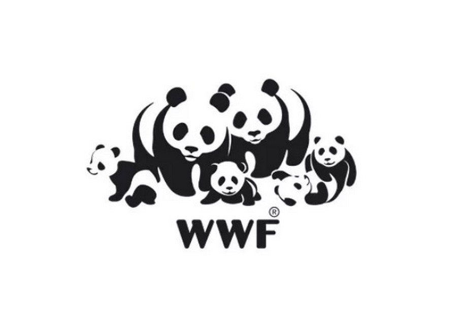История логотипа WWF – панда - как всемирно известный символ - poliservis.com - фото 3