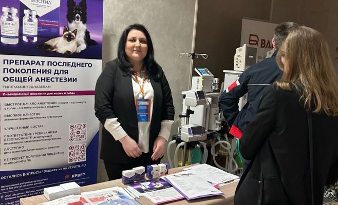 Разновидности мобильных выставочных стендов