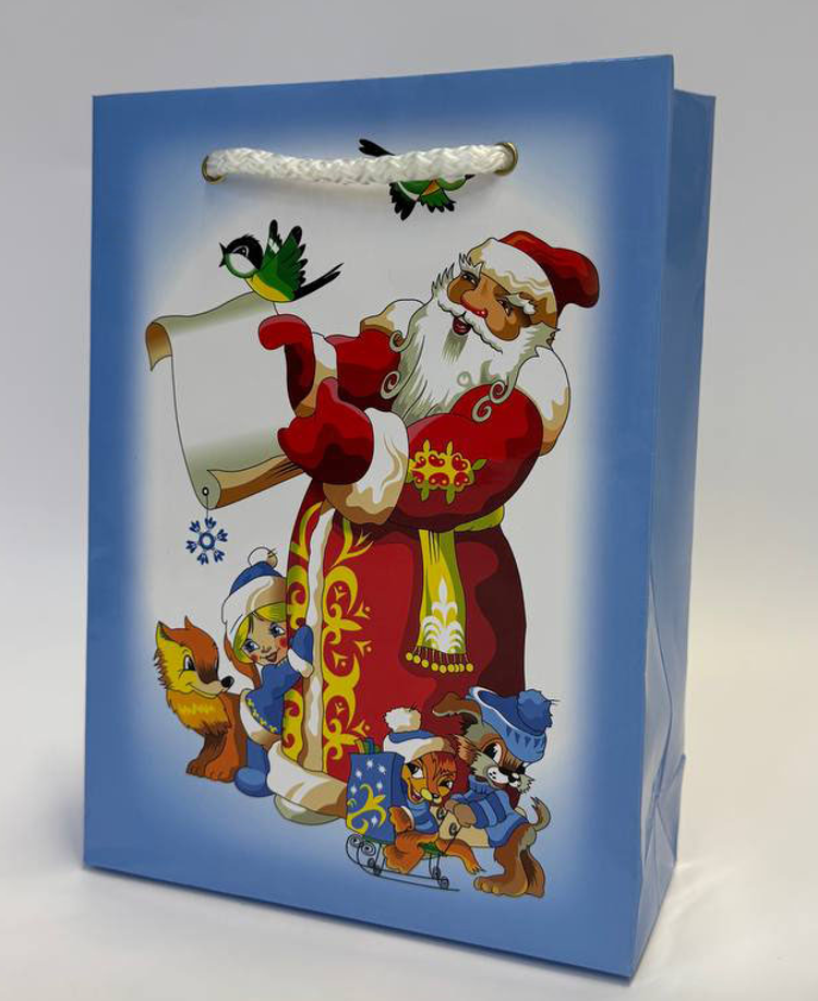 пакет новый год